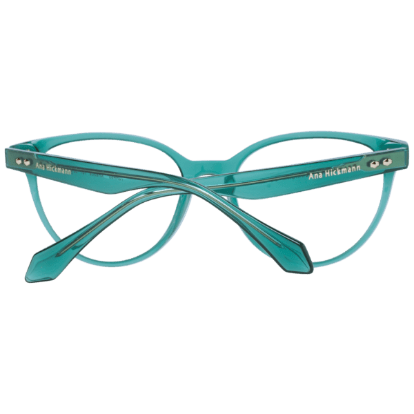 Détails branches – lunette Ana Hickmann AH6509 53T01 en Acétate