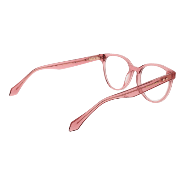 Détails branches – lunette Ana Hickmann AH6509 53T02 en Acétate