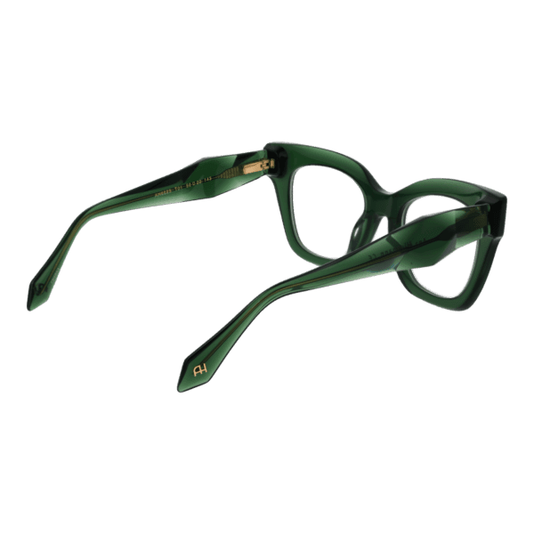 Détails branches – lunette Ana Hickmann AH6523 50T01 en Acétate