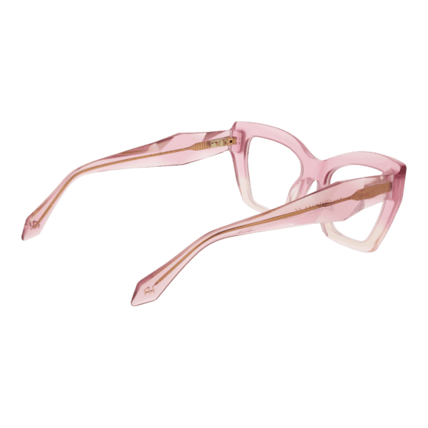 Détails branches – lunette Ana Hickmann AH6525 51C02 en Acétate