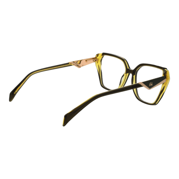 Détails branches – lunette Ana Hickmann AH6538 54H01 en Acétate