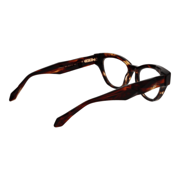 Détails branches – lunette Ana Hickmann AH6542 50G21 en Acétate