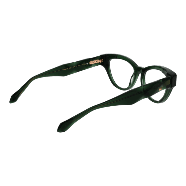 Détails branches – lunette Ana Hickmann AH6542 50T01 en Acétate