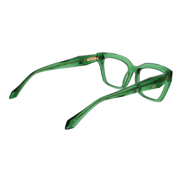 Détails branches – lunette Ana Hickmann AH6545 50T02 en Acétate