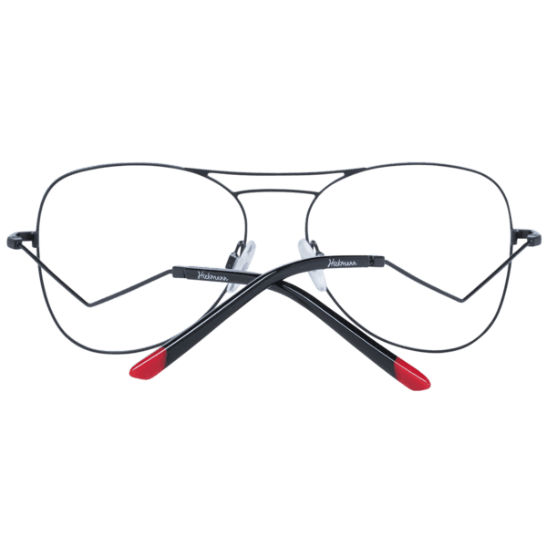 Détails branches – lunette Ana Hickmann HI1082 5509A en Métal