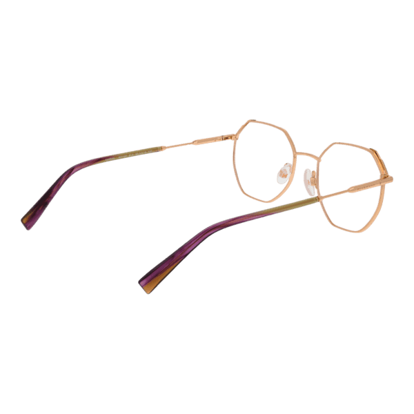 Détails branches – lunette Ana Hickmann HI1191 5001A en Métal