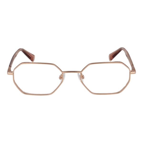 Face avant – monture optique Ana Hickmann HI1228 5305A en Or
