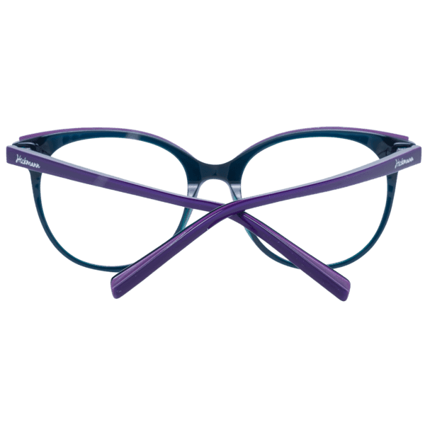 Détails branches – lunette Ana Hickmann HI6103 50H03 en Acétate