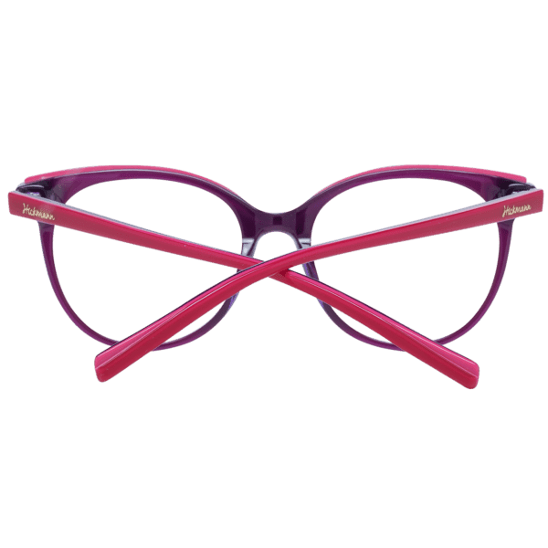 Détails branches – lunette Ana Hickmann HI6103 50H05 en Acétate