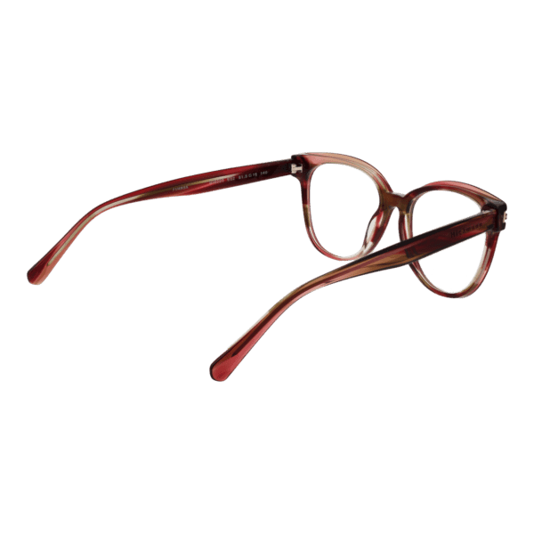 Détails branches – lunette Ana Hickmann HI6220 51E02 en Acétate