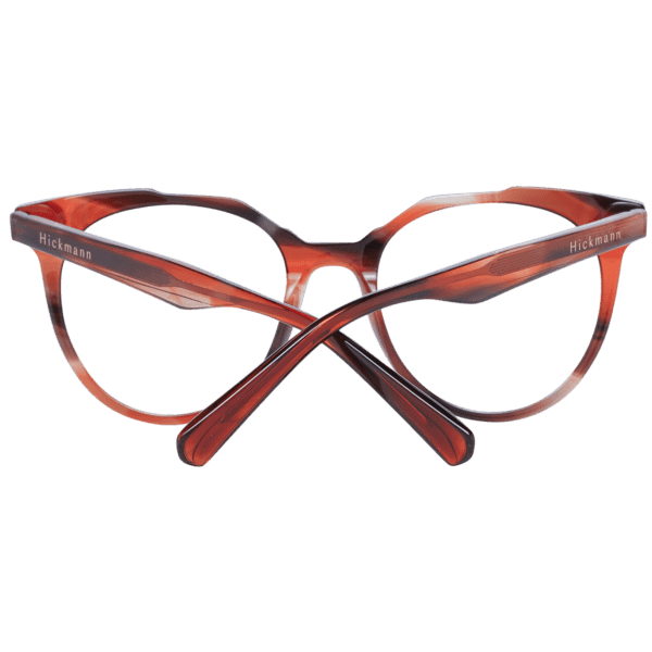 Détails branches – lunette Ana Hickmann HI6232 50E03 en Acétate