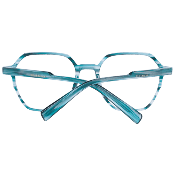 Détails branches – lunette Ana Hickmann HI6235 50E01 en Acétate