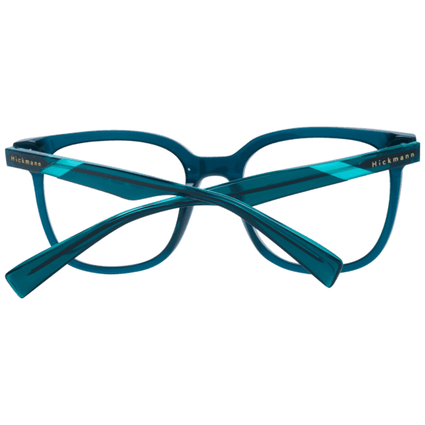 Détails branches – lunette Ana Hickmann HI6253 51T01 en Acétate