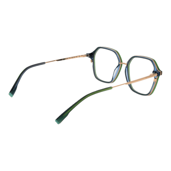 Détails branches – lunette Ana Hickmann HI6254 52T01 en Acétate