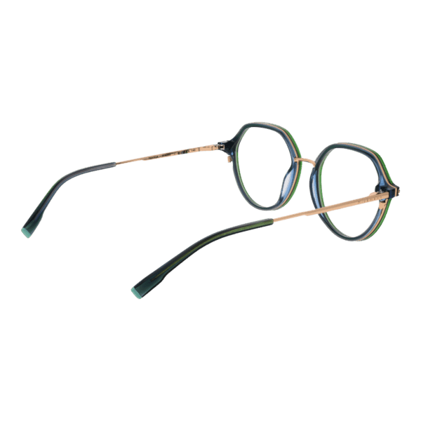 Détails branches – lunette Ana Hickmann HI6255 52T01 en Acétate