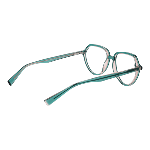 Détails branches – lunette Ana Hickmann HI6277 53H01 en Acétate