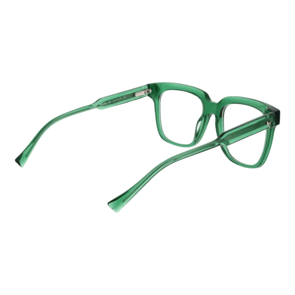 Détails branches – lunette Ana Hickmann HI6286 54T01 en Acétate