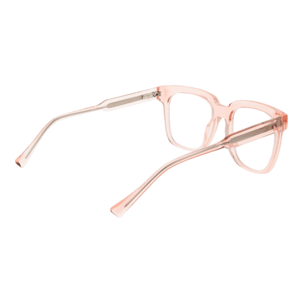 Détails branches – lunette Ana Hickmann HI6286 54T02 en Acétate