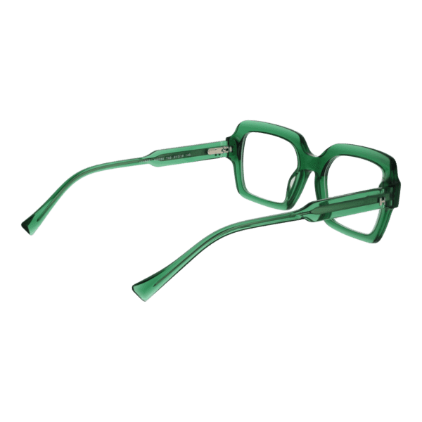 Détails branches – lunette Ana Hickmann HI6288 51T02 en Acétate