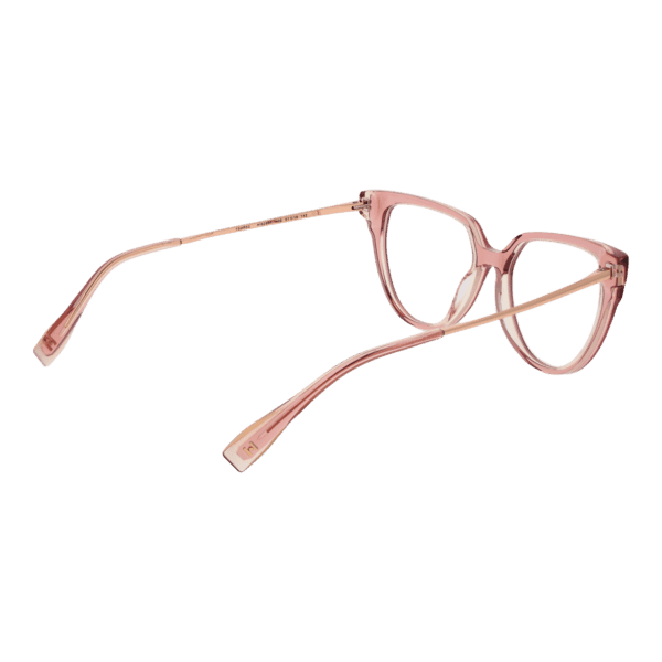 Détails branches – lunette Ana Hickmann HI6290T 51H02 en Titane