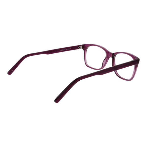 Détails branches – lunette Andy Wolf 4495 50T en Acétate