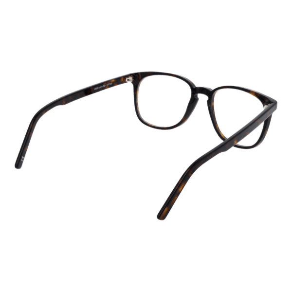 Détails branches – lunette Andy Wolf 4500 52M en Acétate