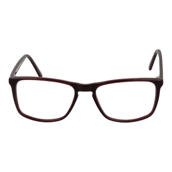 Détails branches – lunette Andy Wolf 4533 53C en Acétate