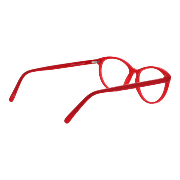 Détails branches – lunette Andy Wolf 5056 54K en Acétate