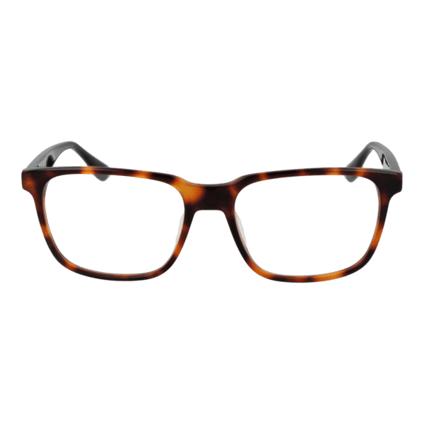 Face avant – monture optique BMW BW5063-H 55053 en Brown