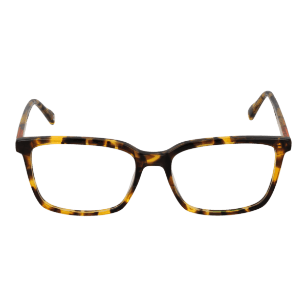 Face avant – monture optique Benetton BEO109 55103 en Brown