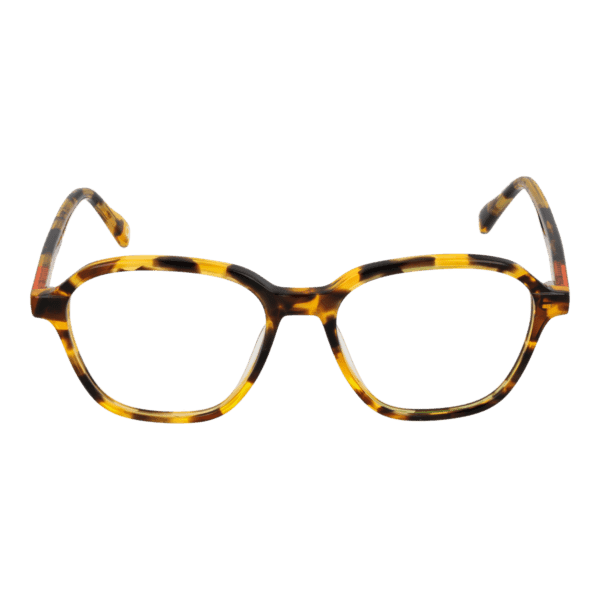 Face avant – monture optique Benetton BEO1099 50103 en Brown