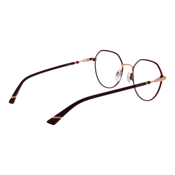 Détails branches – lunette Bulget BG1761 5007A en Métal