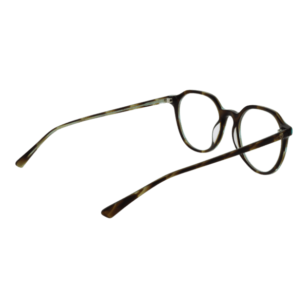 Détails branches – lunette Bulget BG6414 51E02 en Plastique