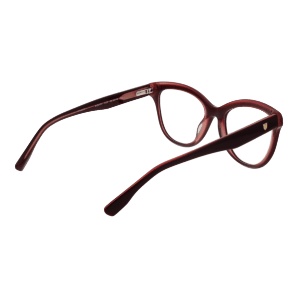 Détails branches – lunette Bulget BG6423 54H03 en Acétate