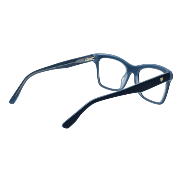 Détails branches – lunette Bulget BG6424 53H02 en Acétate