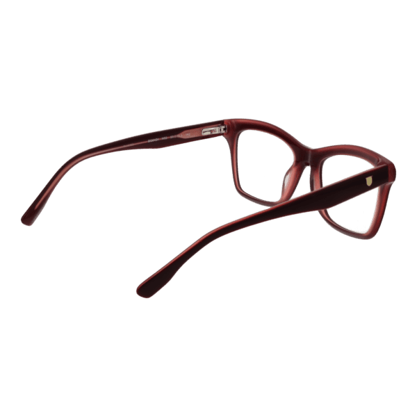 Détails branches – lunette Bulget BG6424 53H03 en Acétate