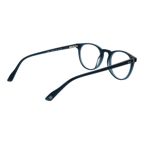 Détails branches – lunette Bulget BG6431M 49T01 en Acétate