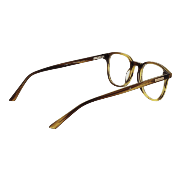 Détails branches – lunette Bulget BG6458M 49E01 en Acétate