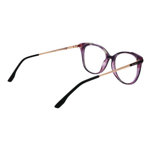 Détails branches – lunette Bulget BG6462 53H01 en Acétate