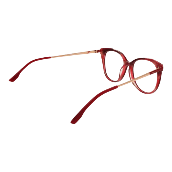 Détails branches – lunette Bulget BG6462 53H04 en Acétate