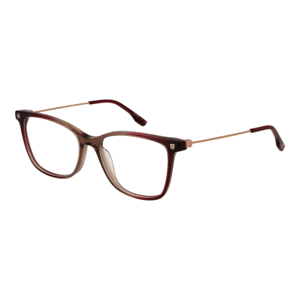 Détails branches – lunette Bulget BG6463 53C01 en Acétate