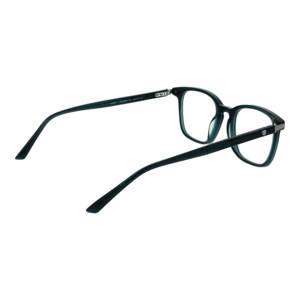 Détails branches – lunette Bulget BG6466M 51T01 en Acétate