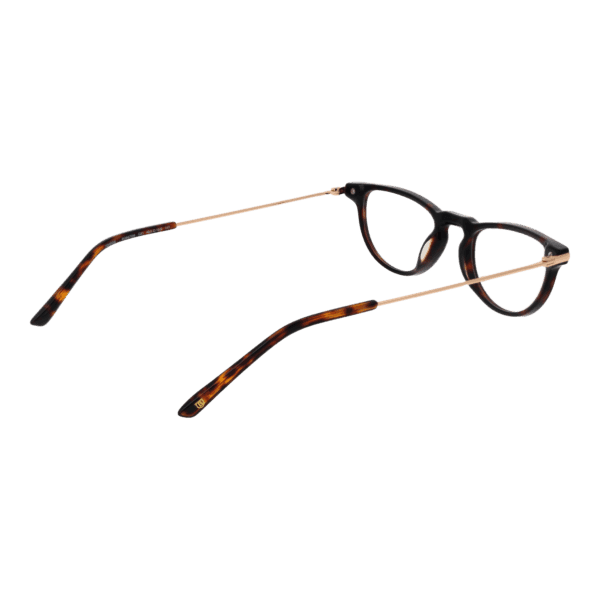 Détails branches – lunette Bulget BG6470M 48G21 en Acétate