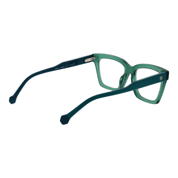 Détails branches – lunette Bulget BG6482 52T01 en Acétate