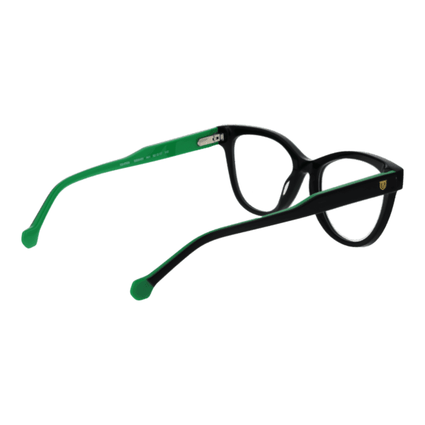 Détails branches – lunette Bulget BG6483 52A01 en Acétate