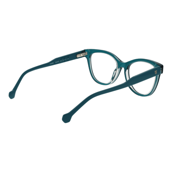 Détails branches – lunette Bulget BG6483 52H01 en Acétate