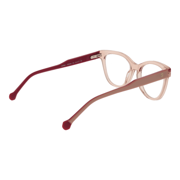 Détails branches – lunette Bulget BG6483 52T01 en Acétate