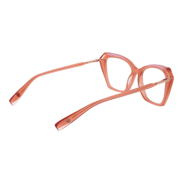 Détails branches – lunette Bulget BG6498 52P04 en Acétate