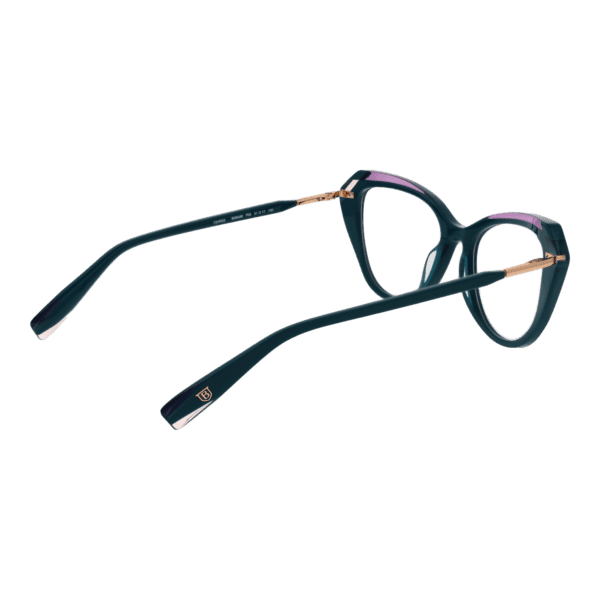 Détails branches – lunette Bulget BG6499 51P03 en Acétate