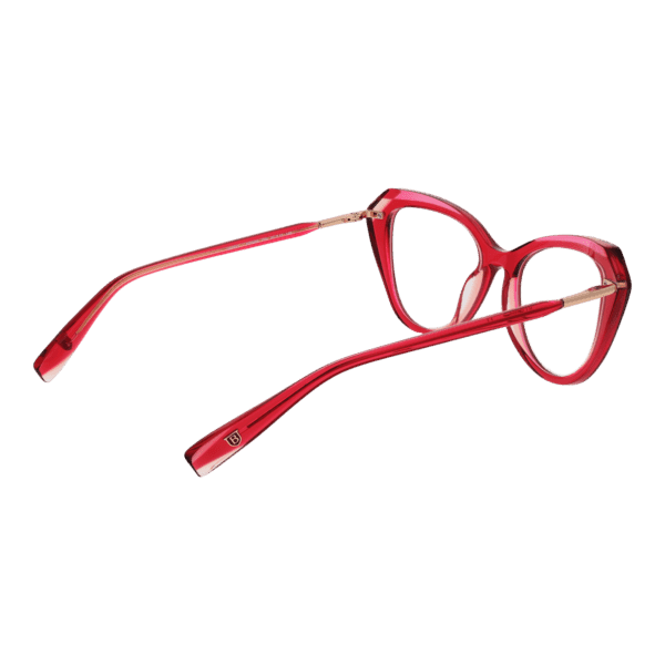 Détails branches – lunette Bulget BG6499 51P04 en Acétate